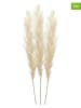 InArt 3er-Set: Kunstblumen in Beige - (H)150 cm