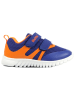 Richter Shoes Sneakers in Blau/ Orange