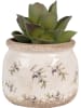 Clayre & Eef Bloempot beige/paars - (H)10 x Ø 12 cm