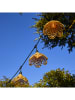 lumisky Girlanda LED "Flower" w kolorze jasnobrązowym - dł. 600 cm