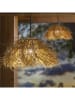 lumisky Lampa wisząca LED "Frou w kolorze beżowym - Ø 58 x wys. 30 cm