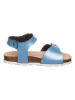 BIO PINGÜIN Sandalen blauw
