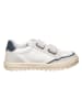 Naturino Sneakers "Ariton" in Weiß/ Creme