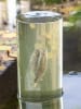 Profigarden Cylindryczne akwarium dla rybek do oczka wodnego - wys. 30 x Ø 20 cm