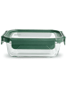 IRIS Pojemnik w kolorze zielonym - 640 ml