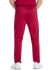 Arena Spodnie dresowe "Relax IV Team" w kolorze czerwonym