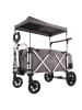 FUXLIFE by FUXTEC Bollerwagen "FX-CTL900" in Grau