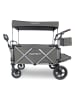 Fuxtec Bollerwagen "FX-CTL950" in Grau - ab 2 Jahren