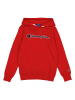 Champion Hoodie in Rot