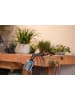 Gardena Jalousienbürste "Cleansystem" in Hellblau/ Schwarz - (H)18,2 cm