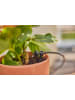 Gardena Tropfbewässerungssystem "Micro-Drip" in Schwarz