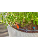 Gardena Tropfbewässerungssystem "Micro-Drip" in Schwarz