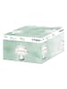Tognana 2tlg. Kuchenplatte "Clear" in Transparent - (H)25 x Ø 33 cm