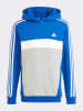 adidas Hoodie in Blau/ Grau/ Weiß