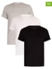 Calvin Klein 3er-Set: Shirts in Weiß/ Schwarz/ Grau