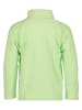 Didriksons Fleece vest "Monte" groen