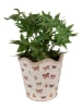 Clayre & Eef Blumentopf in Beige/ Rosa - (H)18 x Ø 19 cm