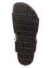 Birkenstock Sandalen "Rio" in Schwarz - Weite S