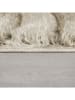 Flair Rugs Teppich in Creme/ Beige