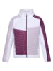 Regatta Softshelljacke "Brynden" in Lila in Lila