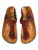 Moosefield Skórzane sandały w kolorze bordowym