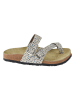 Moosefield Teenslippers beige/blauw