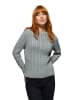 Polo Club Pullover in Grau