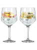 RITZENHOFF 2-delige set: ginglazen "Botanic Lights" oranje - 720 ml