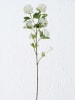 Boltze Decoratieve bloem "Hortensie" wit/groen - (L)100 cm