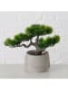 Boltze Sztuczna roślina "Bonsai" w kolorze zielono-jasnoszarym - wys. 21 cm