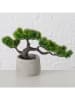Boltze Kunstplant "Bonsai" groen/lichtgrijs - (H)21 cm