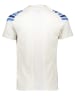 Mizuno Koszulka sportowa "Shadow" w kolorze białym