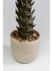 Kare Decoratieve plant "Cycas" groen/crème - (H)70 cm