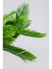 Kare Decoratieve plant "Cycas" groen/crème - (H)70 cm
