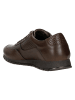 Wojas Leder-Sneakers in Braun