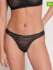 Sloggi 2er-Set: Slips in Schwarz