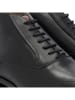 DENBROECK Leder-Schnürschuhe "Gold St." in Schwarz