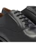 DENBROECK Leder-Schnürschuhe "Platt St." in Schwarz