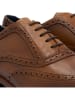 DENBROECK Veterschoenen "State St." lichtbruin