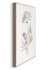 Orangewallz 2er-Set: Gerahmte Kunstdrucke "Dried Flowers and Grasses Set"