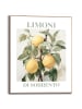 Orangewallz Druk artystyczny "Limoni" w ramce - 40 x 50 cm