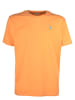 U.S. Polo Assn. Shirt in Orange