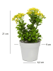 Scandinavia Concept Sztuczna roślina w kolorze zielono-biało-żółtym - wys. 21 cm