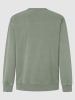 Pepe Jeans Sweatshirt "Aldridge" in Grün