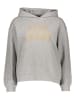 Pepe Jeans Hoodie in Grau