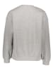Pepe Jeans Sweatshirt in Grau