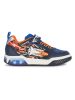 Geox Sneakers "Lights - Inek" in Blau/ Orange