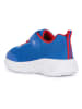 Geox Sneakers "Lights - Assister" in Blau/ Rot