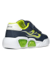 Geox Sneakers "Lights - Illuminus" donkerblauw/groen