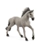 Schleich Figurka "Sorraia Mustang Stallion" do zabawy - 3+